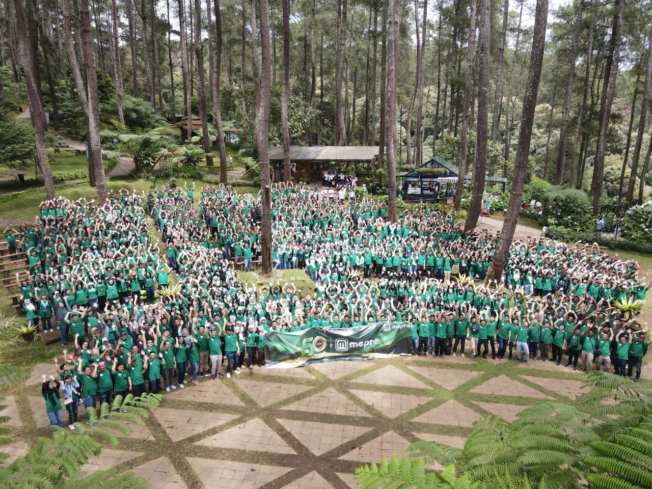 paket fun game orchid forest